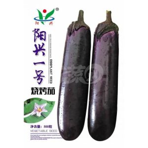 阳兴一号烧烤茄 早中熟 长度25-28厘米 粗度约6-8厘米  500粒装